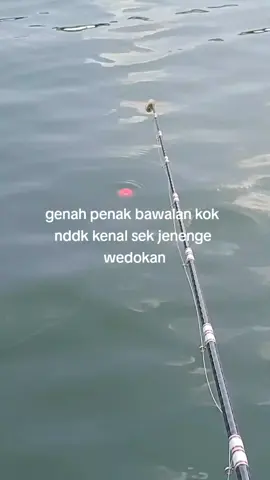 #tirtamina #cendanimasterbawal #masterbawal 