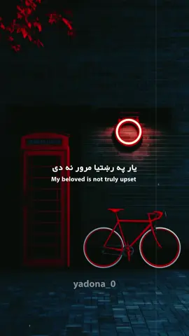 🫠🫶🏻 #poetry #afghanistan🇦🇫 #pashtopoetry #pashtoshayari #pashtolines 