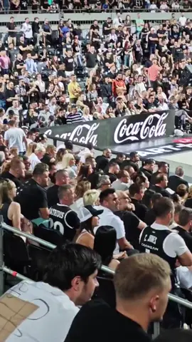 Kakva braća😂💪 #paok #partizan #fypp #fyp #гробари 