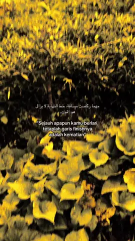 #quotesislami #syaircinta #langitaesthetic #xybca #masukberandamuu 