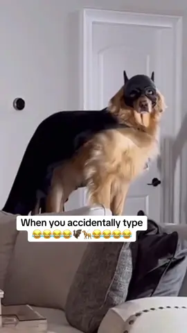 Typos, they’ll get you. #batdog 