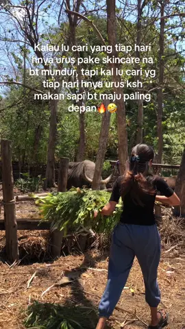Info”🤣#nttpride🏝🔥kupangntt💯 