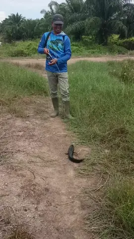 yg ni besak
