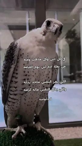 اللي يعز النفس ماحد يذّله...واللي يذل النفس ماله كرامه#فهدابوعبيد #قصايد_شعر_خواطر #explore #foryou 