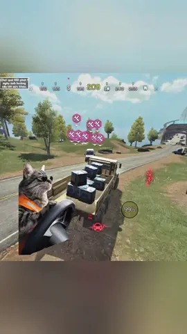 Racing cat 😎 #GamingOnTikTok #callofdutymobilevn #codmvn 