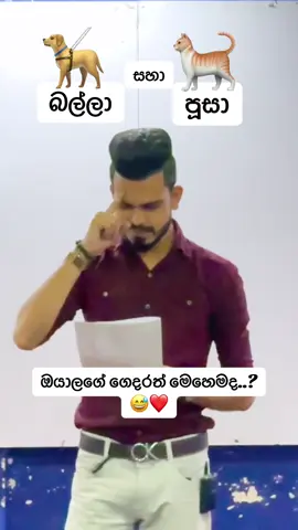 ඔයා වැඩියෙන් ආස බල්ලාටද? පූසාටද? 😁 #hasheerajayawardene #hasheerasir #hasheeraenglish #hasheeravoice #LearnOnTikTok 