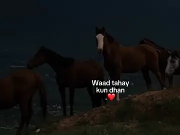 ♾️❤️