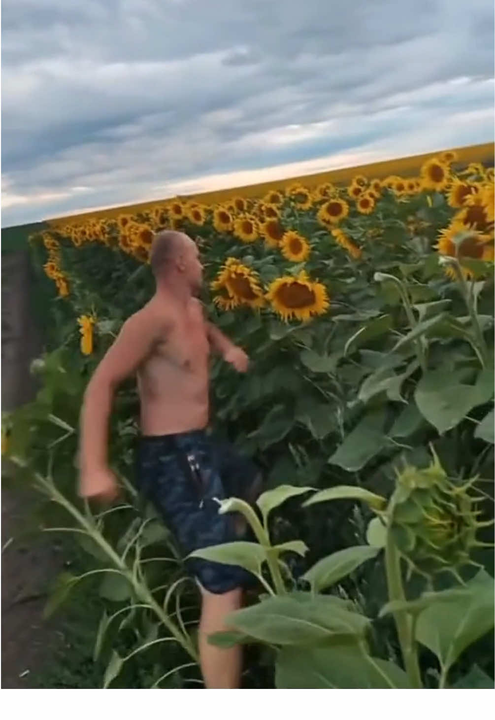 Günebakanlar için adalet 🌻 