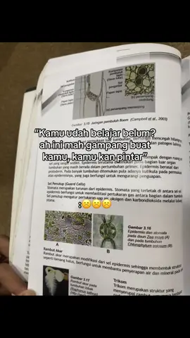 orng” ber ekspektasi lebih sm kita☹️