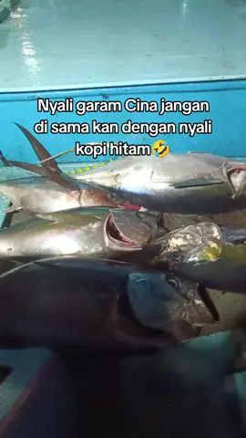 🤪🔥#pelautindonesia#pelautmuda 
