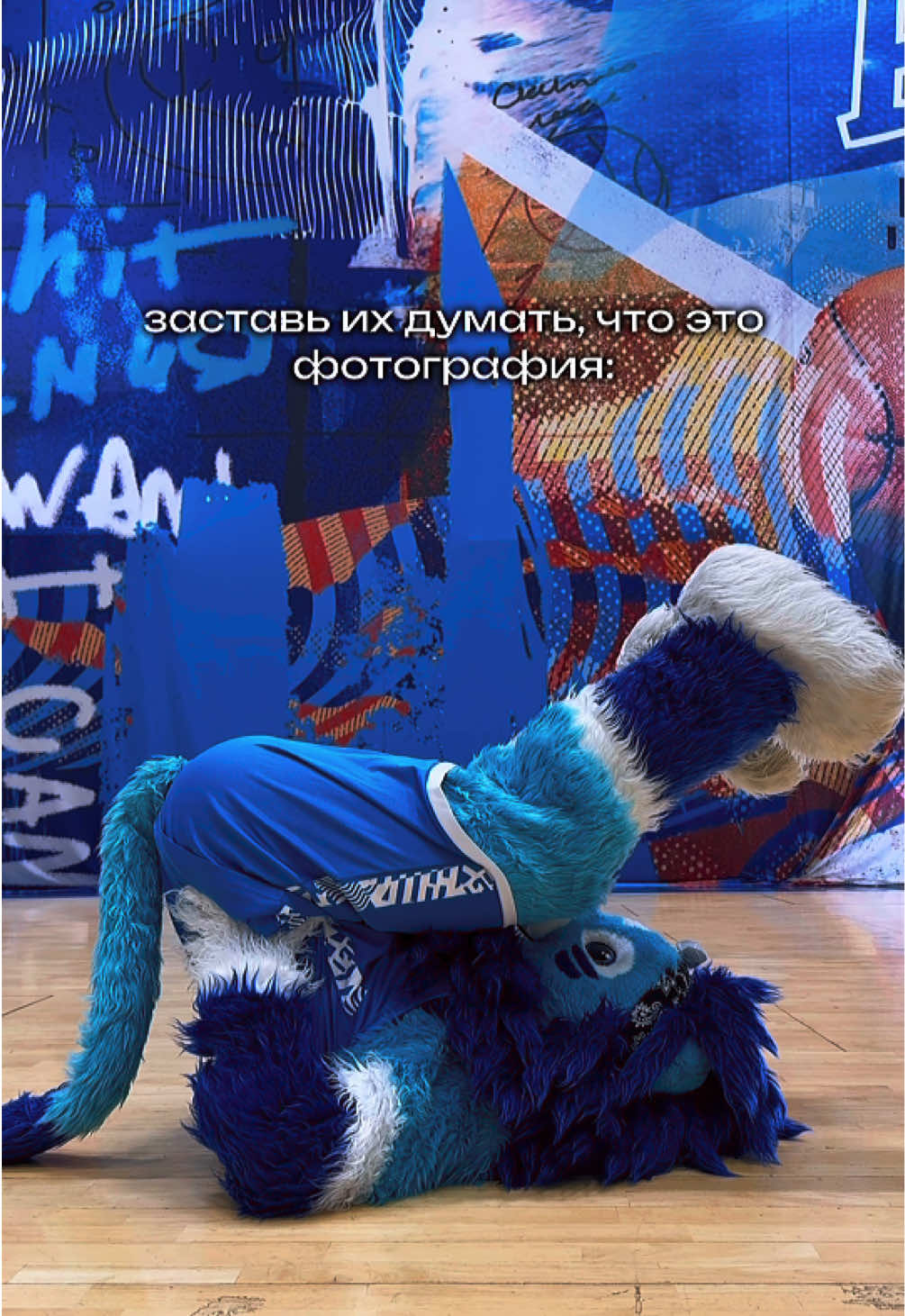 у вас тоже видео зависло??? #mascot #basketball #cheerleading #Зенит #fursuit 