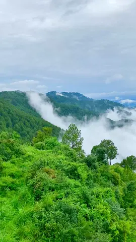 Dhanoi_Hills.✨❤️‍🩹#creatorsearchinsights #beautiful #weather #moinsatti1 #fyp 