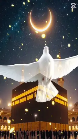 Bismillahirrahmanırrahim 🤲🤲#lailaheillahlahmuhammedenresullullah #allahccmuhammetsav🌹 #hasanilahisayfa #pyfツviral_❤ 