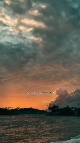 ඔයා එයාලා වගේ නෙමේ! 🧡 #mrkevi_n #filmmaking #quotes #fyp #downsouth🇱🇰 