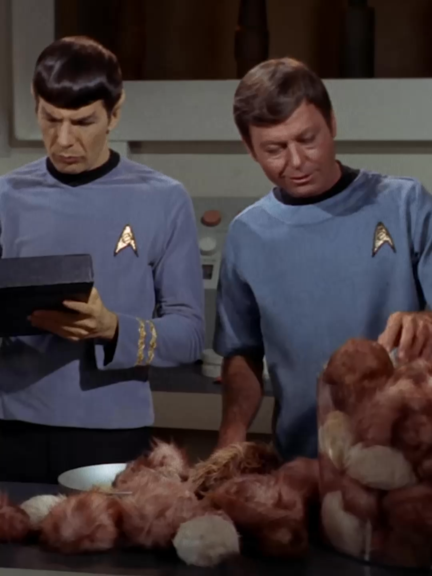 Name a more iconic (bickering) duo. #StarTrekTOS #StarTrek