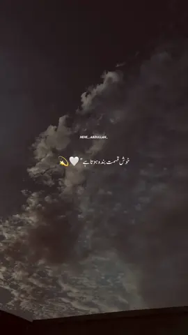 Khush Qismat Bnda Hota Hai 😭❤️💯-  #_hehe_abdullah__ #aesthetic_vibeesss 
