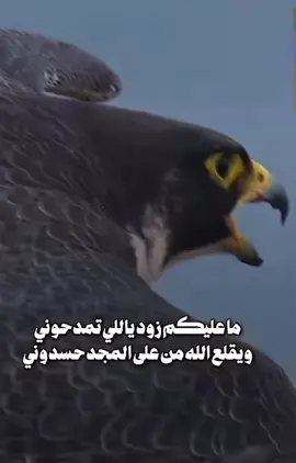 #متعب 