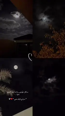 ليتك معي ساهرٍ ليل الهـوى كلَّـه .. ما انوم أنا وإنت لأجل الحبِ سهراني❤️