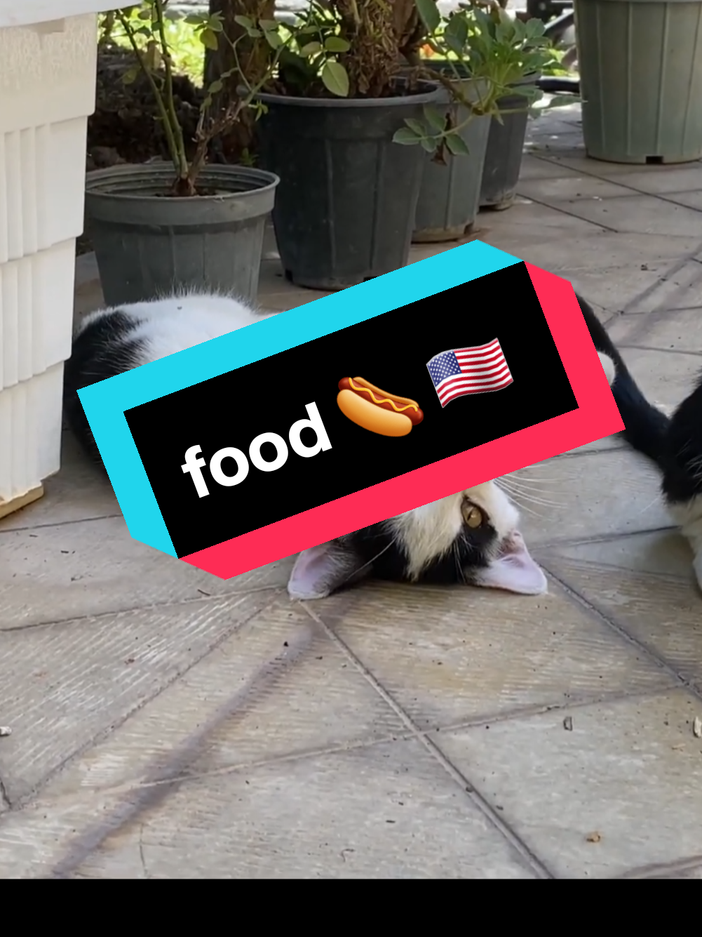 #village_foodx #familylife #foryou #usa🇺🇸 #viralvideo 