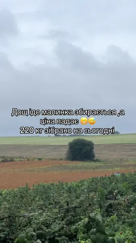 #малина2025 #робота #цінинамалину #село 