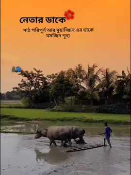 🥺💔... নেতার ডাকে__🌸 #ইসলামিক_ভিডিও_🤲🕋🤲 #ভিডিওটা_ভাইরাল_করে_দাও_🙏🙏 #ইনশাআল্লাহ_যাবে_foryou_তে  #foryou #foryoupage  @TikTok Bangladesh @For You @TikTok 