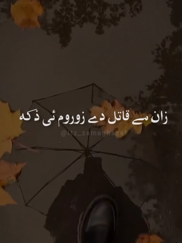 جنگ انسانی سوچ کی ناکامی کا سب سے بڑا ثبوت ہے۔ (باچاخان) #fyp #zamaghazal #pashtolyrics #karankhan 