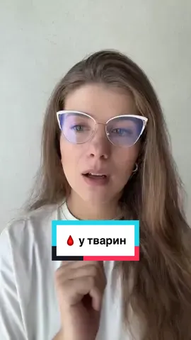 Такі справи 🐹