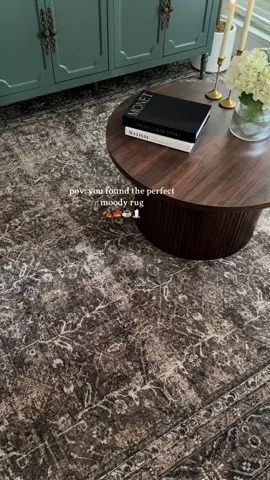 so obseesed with my new rug .. This is the color brown and size is 8*10.. #arearug #brownrug #vintagerug #dealsforyoudays @WondRg 