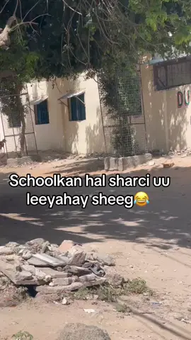 😂😂