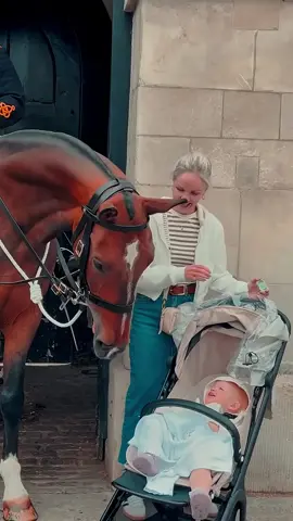 HORSE MEETS BABY