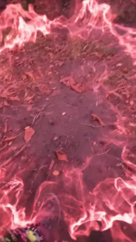 👽👽👽👽