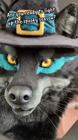 This realistic wolf fursuit partial is seeking a new realm to roam! Will it be yours? The set includes a wizard style hat, realistic paw gloves, and a super-motion tail that flows with every step. Like all our suits, it features our signature springless jaw mechanism for smooth articulation, adjustable straps for a secure fit, and breathable construction for long-lasting comfort. Paws use the Foxfire Fantasy pattern. #halloween #costume #cosplay #furrytiktok #fursuitmaker 