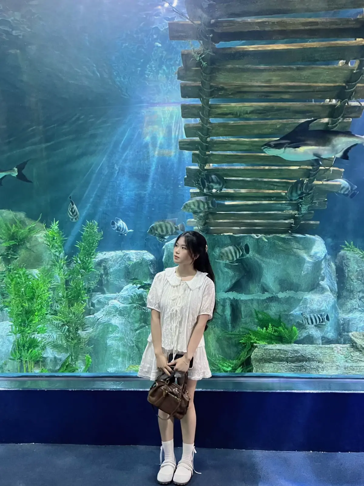 Luỵ thủy cung quá tr #fyp #viral #xuhuong 