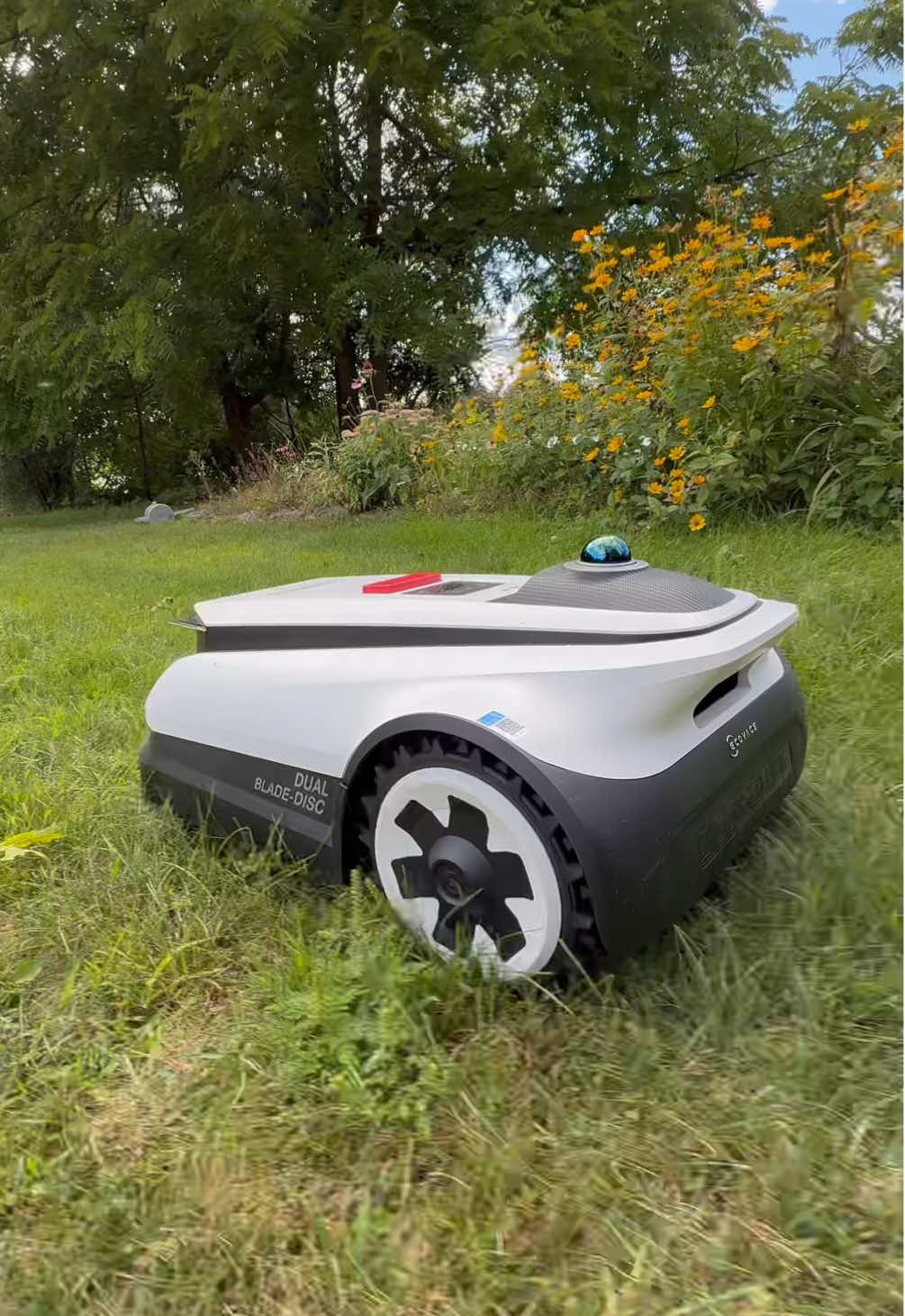 This robot lawn mower keeps my lawn looking fresh and beautiful 👌🏼 #amazonfinds #robotlawnmower #ecovacs 
