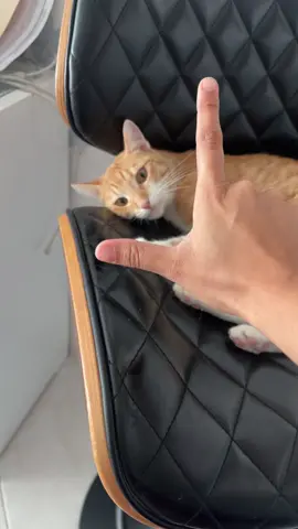 Está endemoniada ♥️♥️