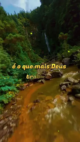 Não desanime cria Deus é fiel