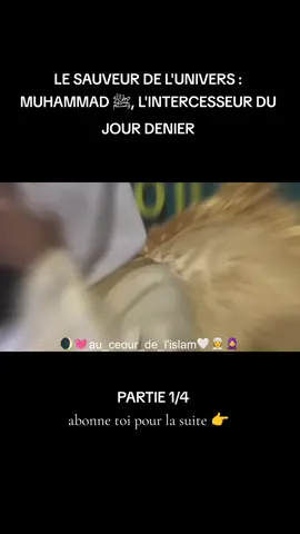 🌍 Le Sauveur de l’Univers… Le seul homme dont l’amour et la miséricorde embrassent l’humanité entière ! Découvre le rôle unique du Prophète Muhammad ﷺ, celui qu’Allah a choisi pour intercéder en faveur de sa communauté le Jour du Jugement.   Quand tout le monde fuira, lui dira : Ma Oummah, ma Oummah ! 👉 Un rappel à ne pas rater, qui renforcera ton lien avec ton Prophète bien-aimé ﷺ. #ProphèteMuhammad #JourDuJugement #Intercession #RappelIslamique #Oummah