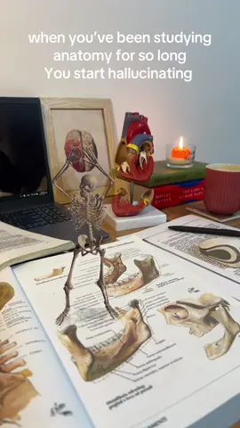 🩺 #fyp #anatomy #med #premed #medicine 