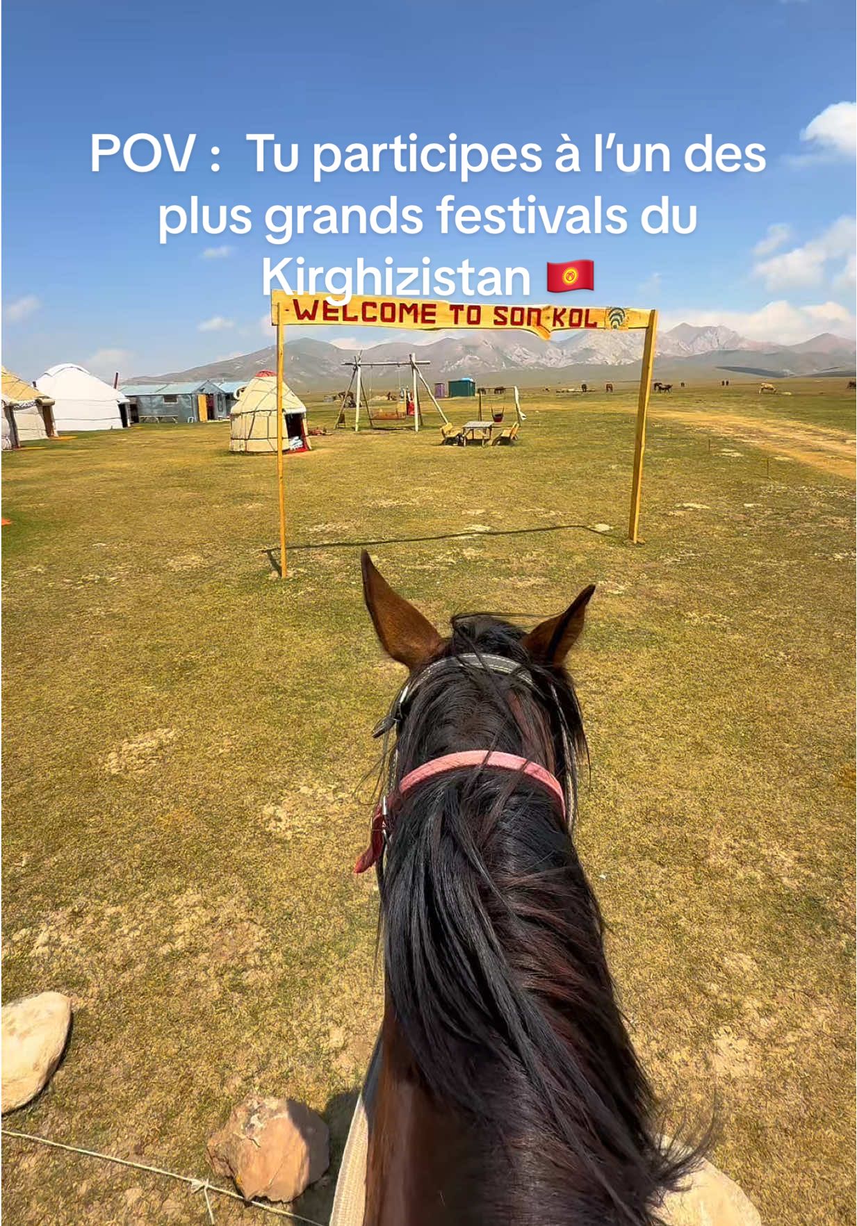 J’ai participé 3 fois au tirage de corde. À chaque fois, j’ai été battu… nul mdr !   Mais c’était vraiment incroyable.#kirgizistan🇰🇬 #cheval #festivales #travel #voyage 