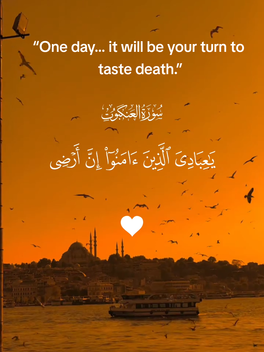 يَا عِبَادِيَ الَّذِينَ آمَنُوا إِنَّ أَرْضِي وَاسِعَةٌ فَإِيَّايَ فَاعْبُدُونِ #quran #القران_الكريم #تلاوة_خاشعة #القرآن #foryoupage❤️❤️ 