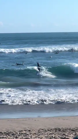 fav activity at the beach #surfers #ocean #beachday #traveltiktok #foryou