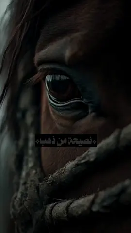 لا ترهق نفسك بالتفكير و الله عنده حسن التدبير ♥💚🌹#الحمدلله_دائماً_وابداً💚 