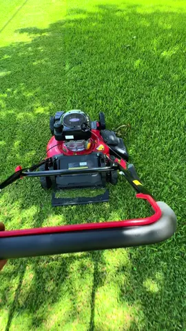 Lawn Mower #fyp #parati #mower #lawnmower 
