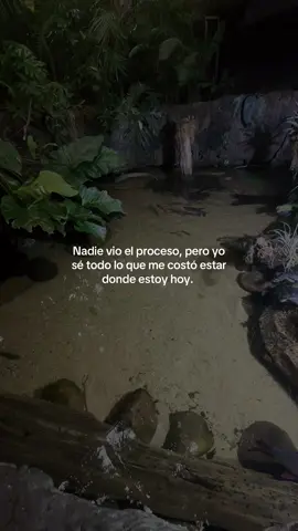 #fyp #parati #process 