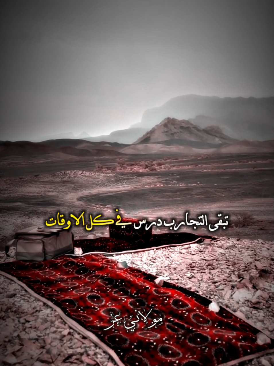 تبقى التجارب درس في كل الاوقات #fyp #fouryou #vairal #اكسبلور #الشاعر_مولاني_عز 