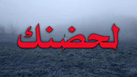 مارجع لحضنك لا!!#اغاني_مسرعه💥 #اغاني_عراقيه #foryoupage #fouryou #explore 