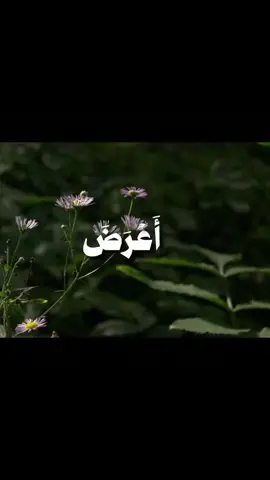 #الحمدالله_علی_کل_حال❤ #الحمدلله_دائماً_وابداً💚🌧️🤲 #قران_كريم #اكتب_شي_توجر_عليه #جزاكم_الله_الجنة_بغير_حساب_ولاسابق 