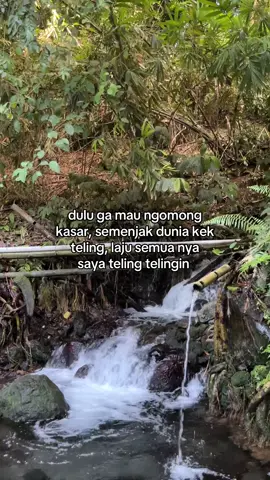 laju iyaaa