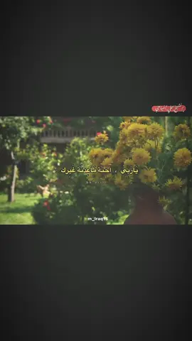 ياربي احنه ماعدنه غيرگ || #الشيخ_علي_المياحي #الشيخ_احمد_الوائلي #ستوريات_الشيخ_علي_المياحي #اكسبلورexplore #ماشاءاللّٰه_سبحان_اللّٰه_💖 