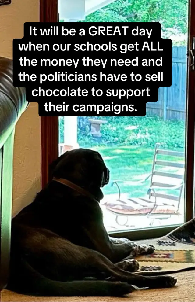 #dogsoftiktok #dogtok 